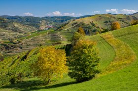 Phoca Thumb M Frueherbst Im Kaiserstuhl 8421 2017